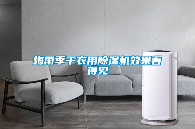 梅雨季干衣用除濕機效果看得見