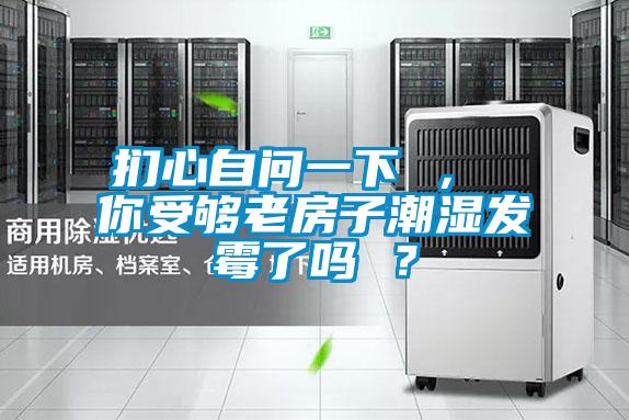 捫心自問一下 ， 你受夠老房子潮濕發霉了嗎 ？