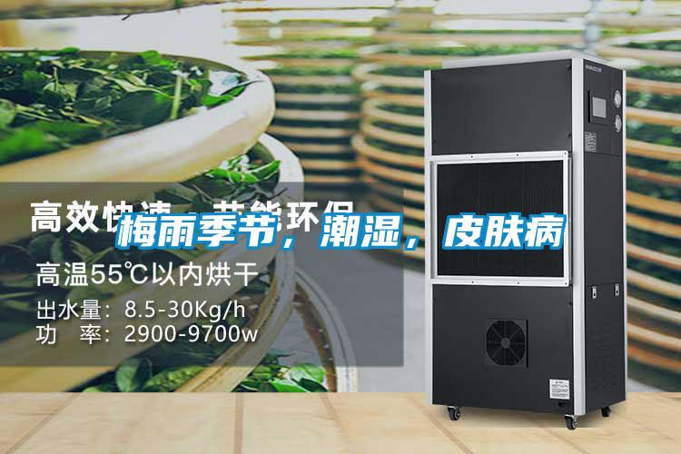梅雨季節，潮濕，皮膚病