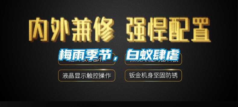 梅雨季節，白蟻肆虐
