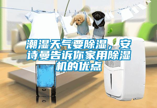 潮濕天氣要除濕，安詩曼告訴你家用除濕機的優點