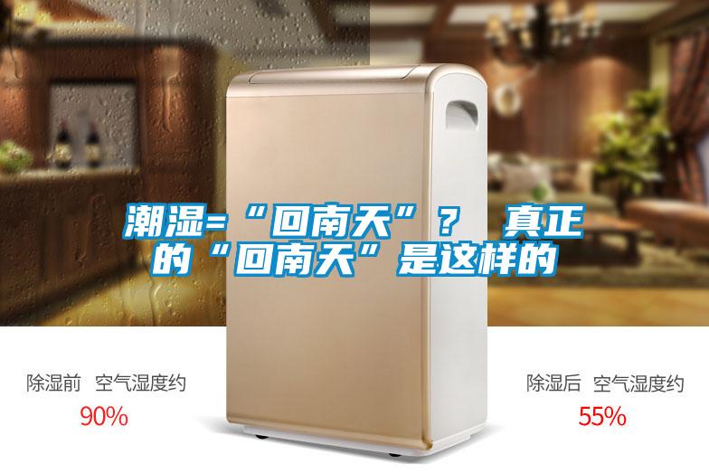 潮濕=“回南天”？ 真正的“回南天”是這樣的