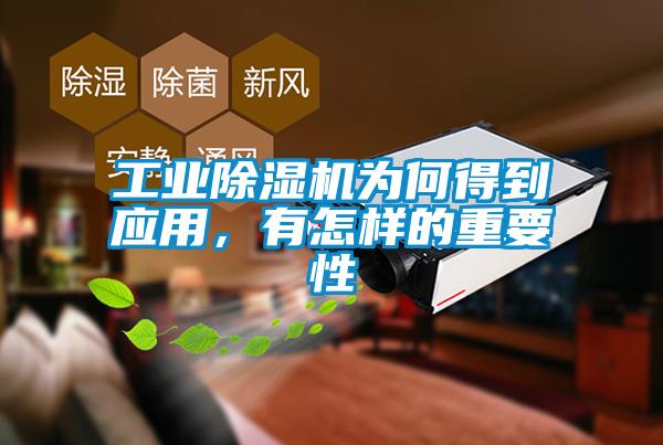 工業除濕機為何得到應用，有怎樣的重要性