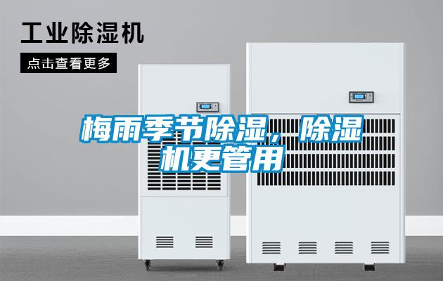 梅雨季節除濕，除濕機更管用