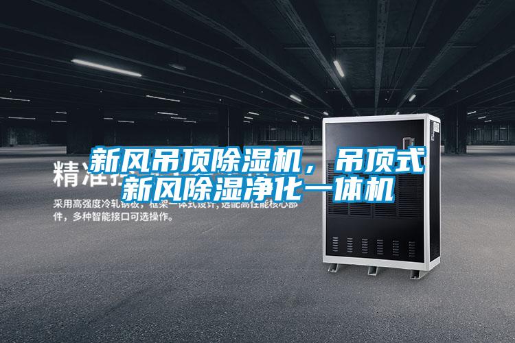 新風吊頂除濕機，吊頂式新風除濕凈化一體機