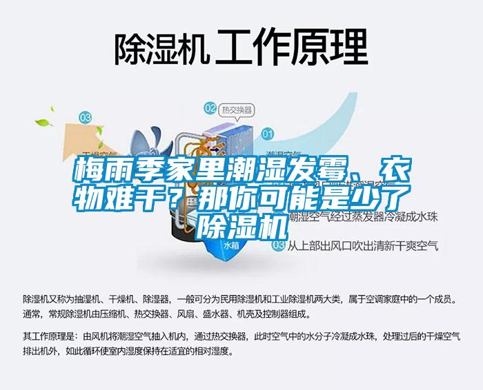 梅雨季家里潮濕發霉、衣物難干？那你可能是少了除濕機