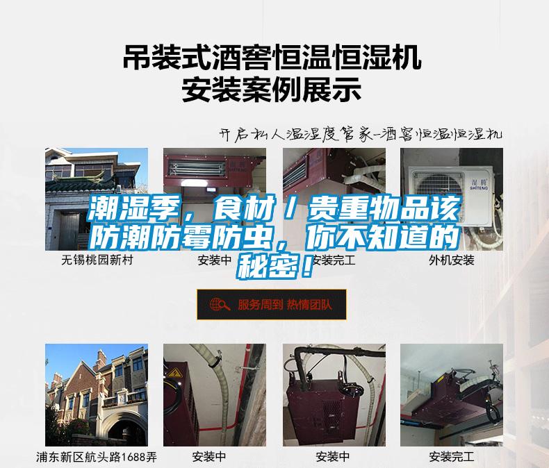 潮濕季，食材／貴重物品該防潮防霉防蟲，你不知道的秘密！