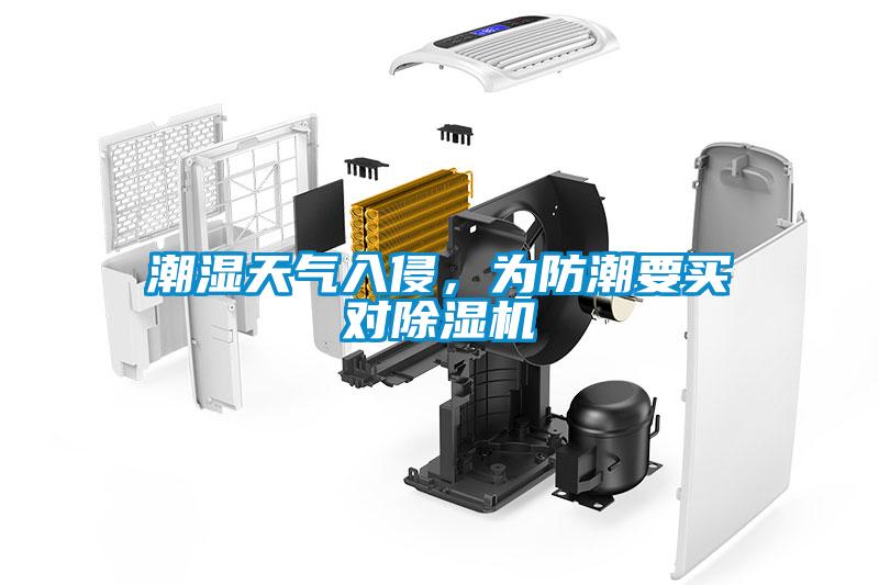 潮濕天氣入侵，為防潮要買對除濕機