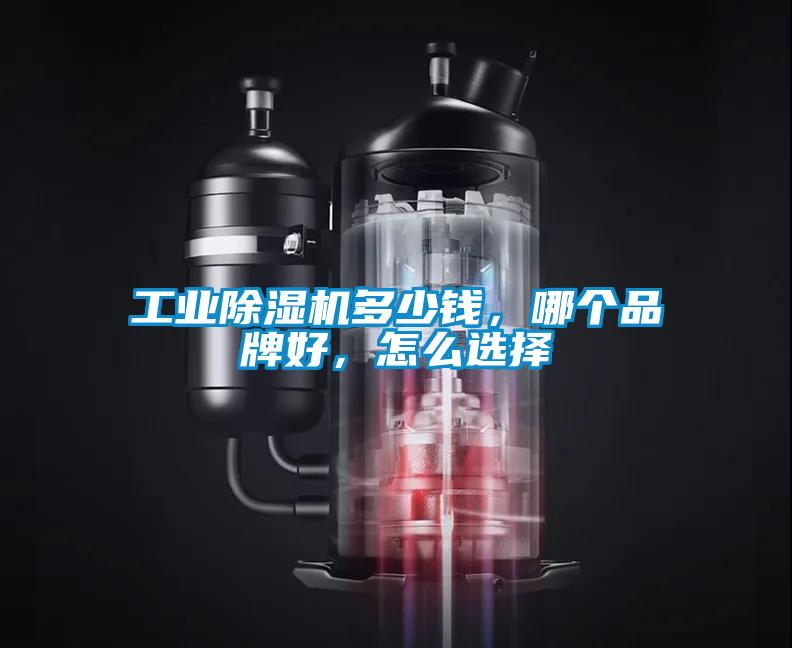 工業除濕機多少錢，哪個品牌好，怎么選擇