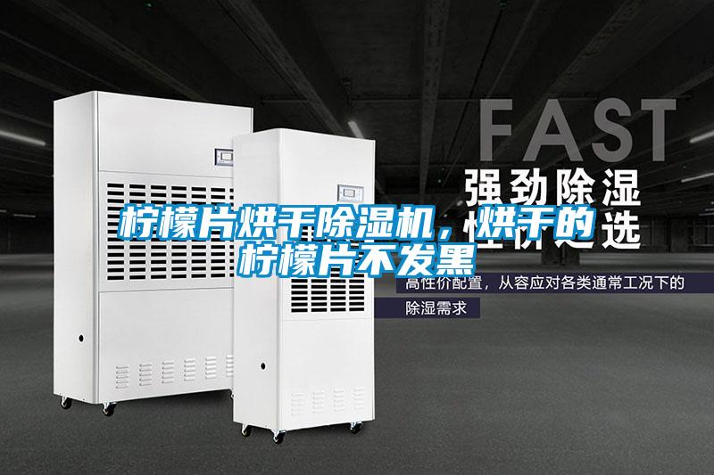 檸檬片烘干除濕機，烘干的檸檬片不發黑
