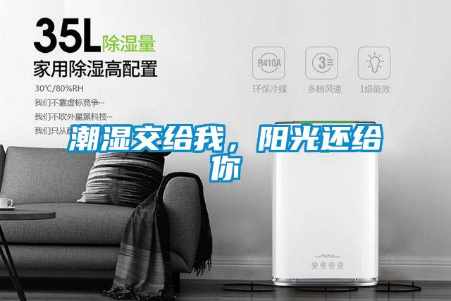 潮濕交給我，陽光還給你