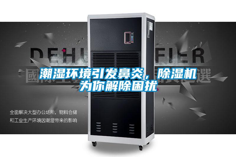 潮濕環境引發鼻炎，除濕機為你解除困擾