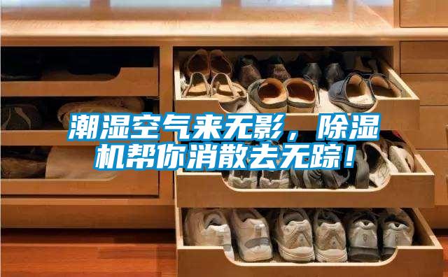 潮濕空氣來無影，除濕機幫你消散去無蹤！