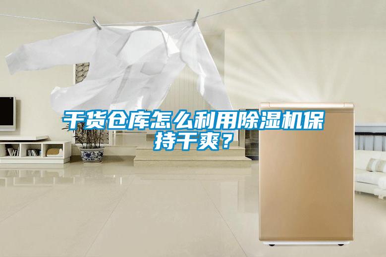 干貨倉庫怎么利用除濕機保持干爽？