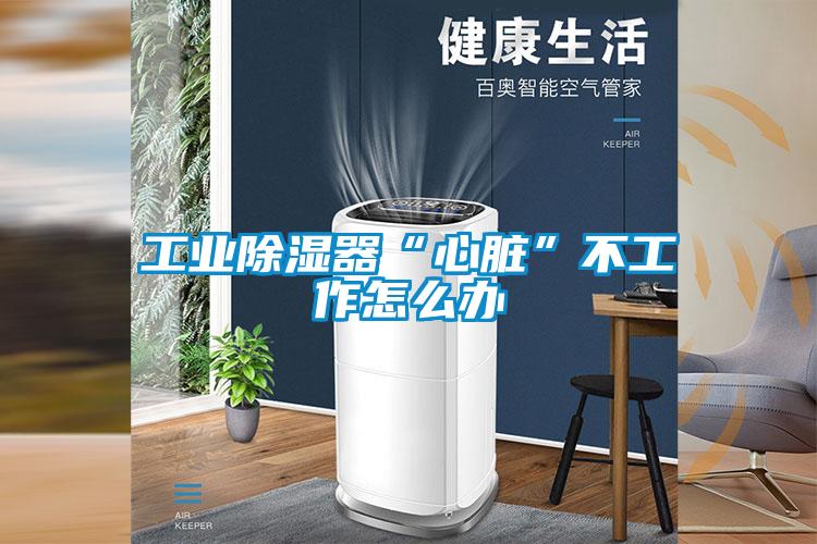 工業除濕器“心臟”不工作怎么辦