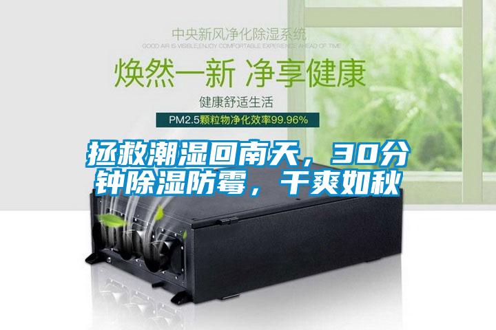 拯救潮濕回南天，30分鐘除濕防霉，干爽如秋