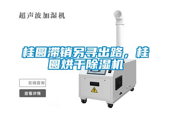 桂圓滯銷另尋出路，桂圓烘干除濕機
