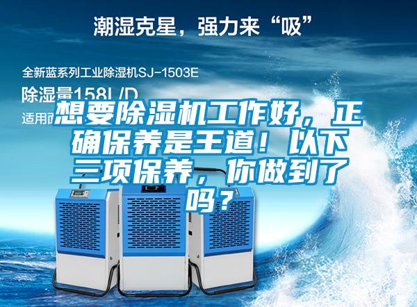 想要除濕機工作好，正確保養是王道！以下三項保養，你做到了嗎？