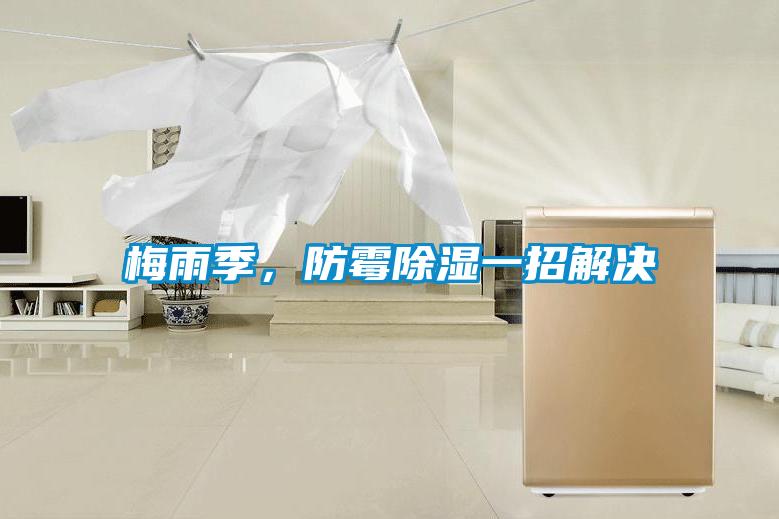 梅雨季，防霉除濕一招解決