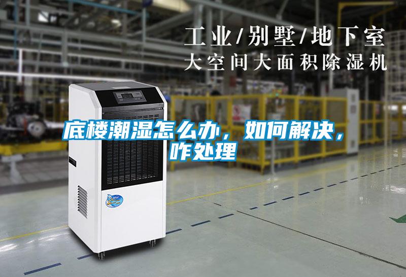 底樓潮濕怎么辦，如何解決，咋處理