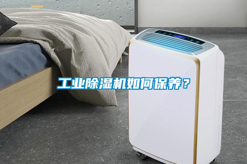 工業除濕機如何保養？