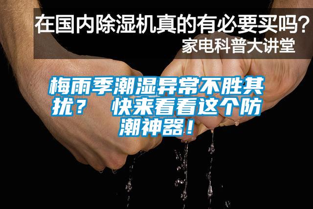梅雨季潮濕異常不勝其擾？ 快來看看這個防潮神器！