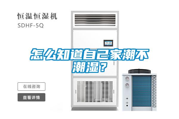 怎么知道自己家潮不潮濕？