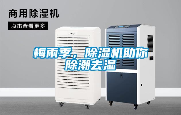 梅雨季，除濕機助你除潮去濕