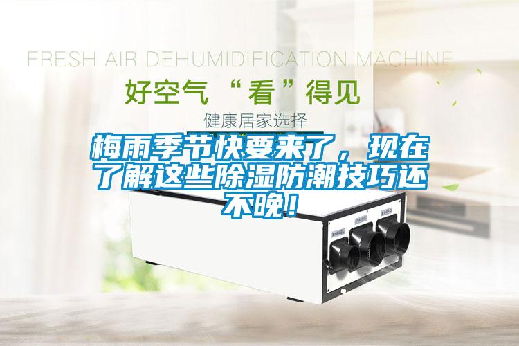 梅雨季節快要來了，現在了解這些除濕防潮技巧還不晚！