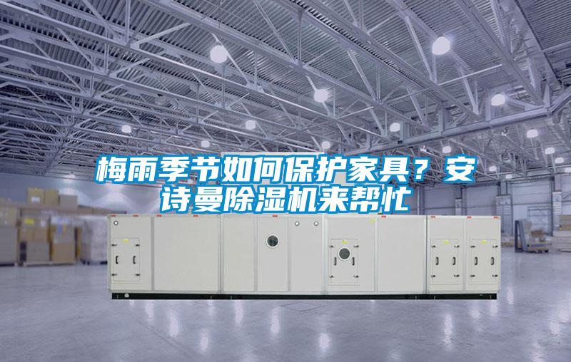 梅雨季節如何保護家具？安詩曼除濕機來幫忙