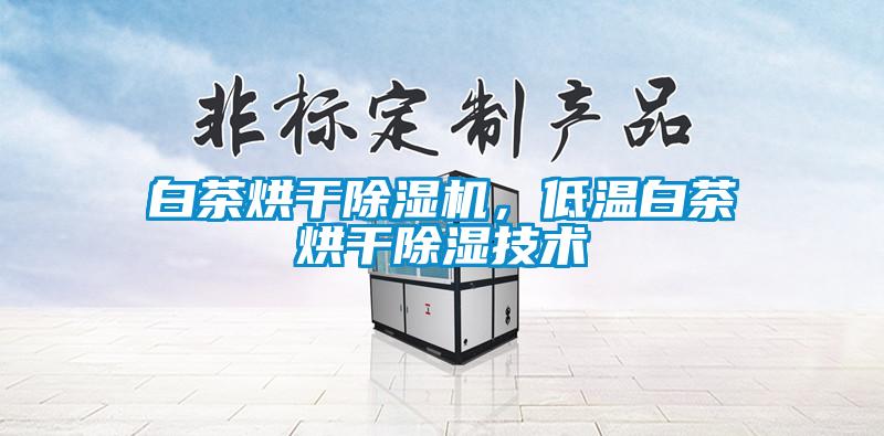 白茶烘干除濕機，低溫白茶烘干除濕技術