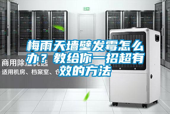 梅雨天墻壁發霉怎么辦？教給你一招超有效的方法