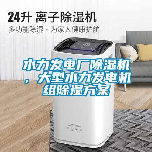 水力發電廠除濕機，大型水力發電機組除濕方案