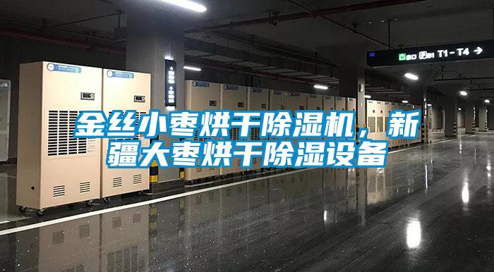 金絲小棗烘干除濕機，新疆大棗烘干除濕設備