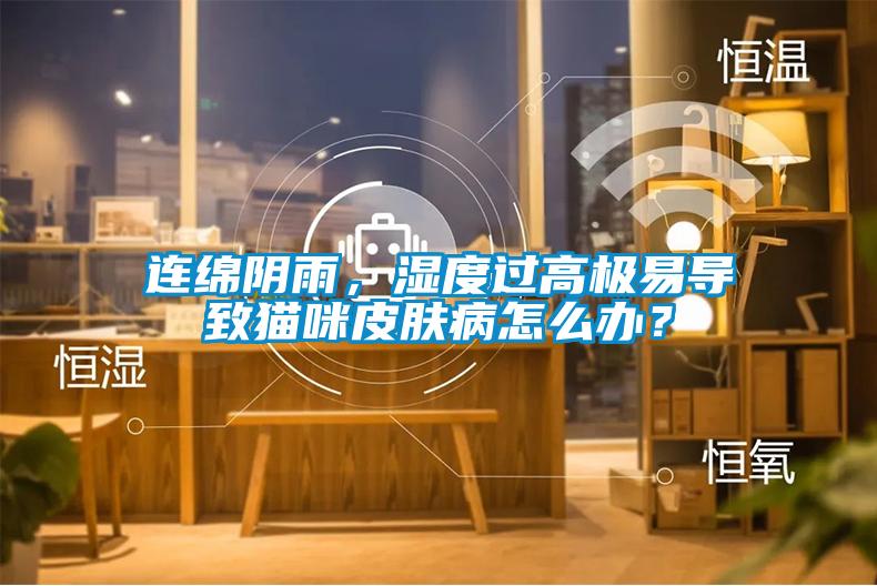 連綿陰雨，濕度過高極易導致貓咪皮膚病怎么辦？