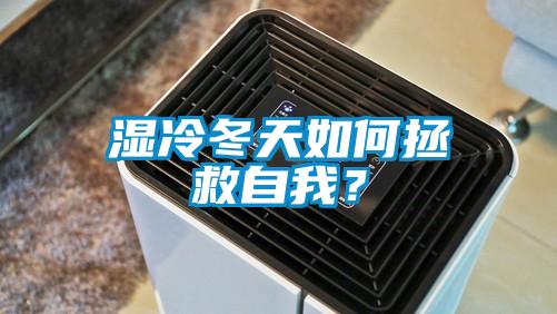 濕冷冬天如何拯救自我？