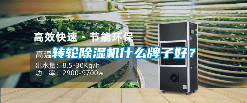 轉輪除濕機什么牌子好？