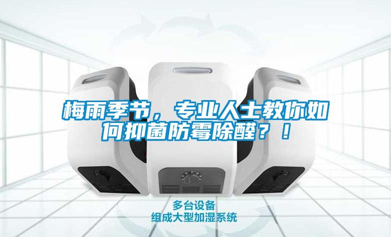 梅雨季節，專業人士教你如何抑菌防霉除醛？！