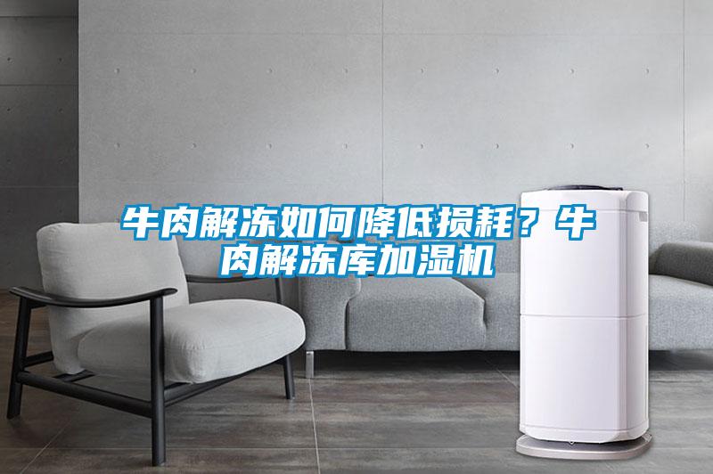 牛肉解凍如何降低損耗？牛肉解凍庫加濕機