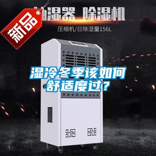 濕冷冬季該如何舒適度過？