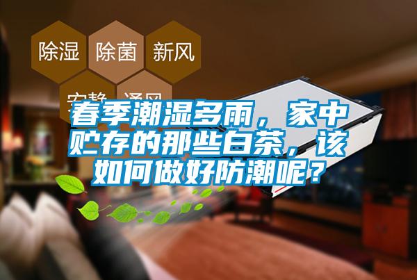 春季潮濕多雨，家中貯存的那些白茶，該如何做好防潮呢？