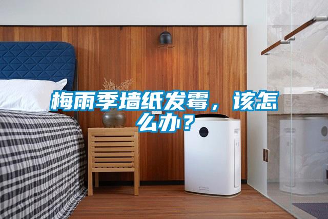 梅雨季墻紙發霉，該怎么辦？