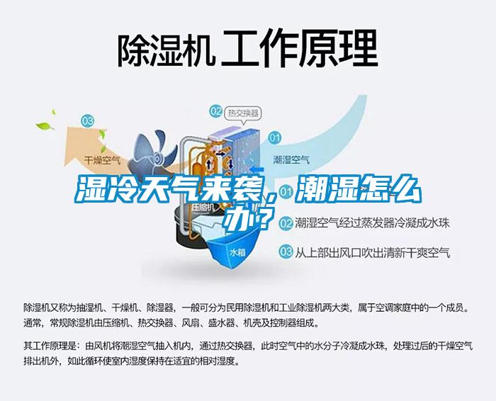 濕冷天氣來襲，潮濕怎么辦？