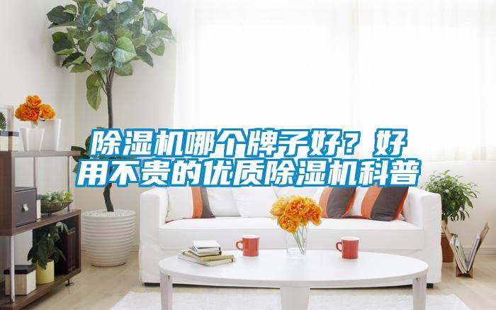 除濕機哪個牌子好？好用不貴的優質除濕機科普