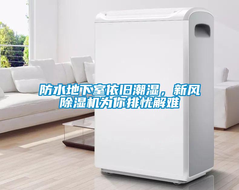 防水地下室依舊潮濕，新風除濕機為你排憂解難
