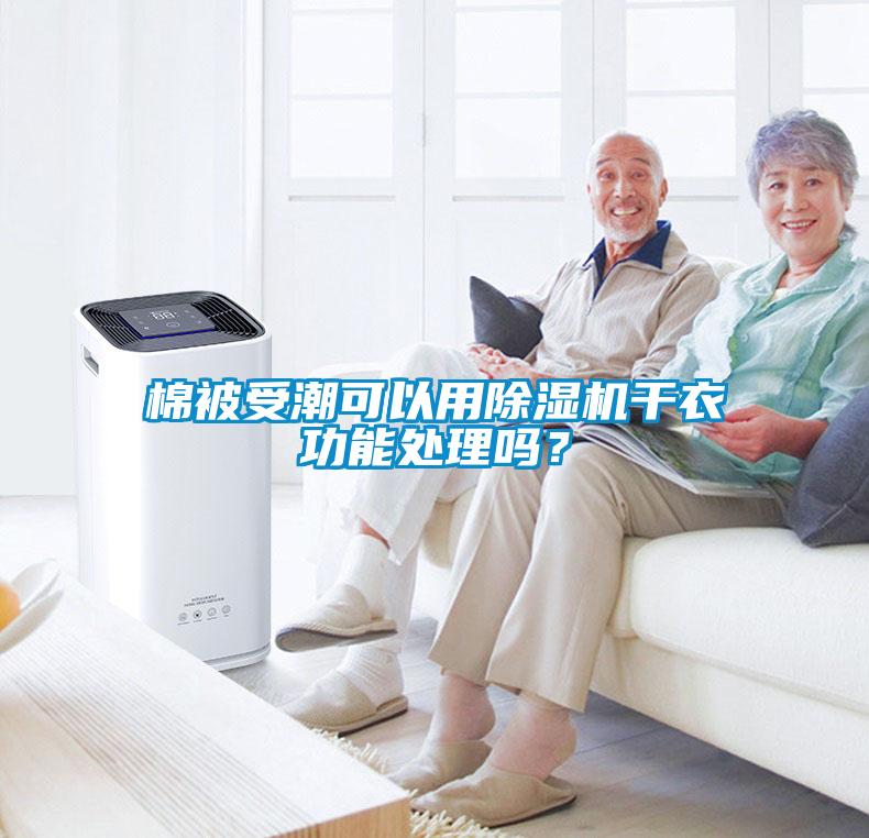 棉被受潮可以用除濕機干衣功能處理嗎？