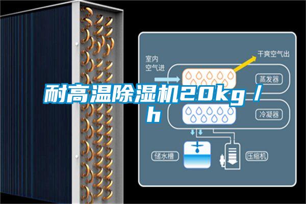 耐高溫除濕機20kg／h