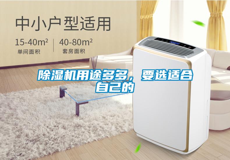 除濕機用途多多，要選適合自己的