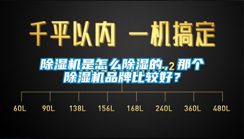 除濕機是怎么除濕的，那個除濕機品牌比較好？