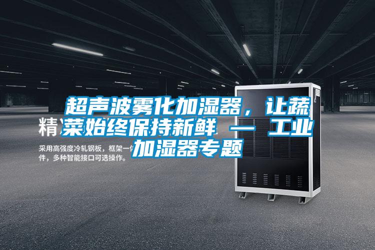超聲波霧化加濕器，讓蔬菜始終保持新鮮 — 工業加濕器專題